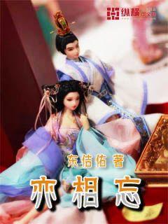 高级定制